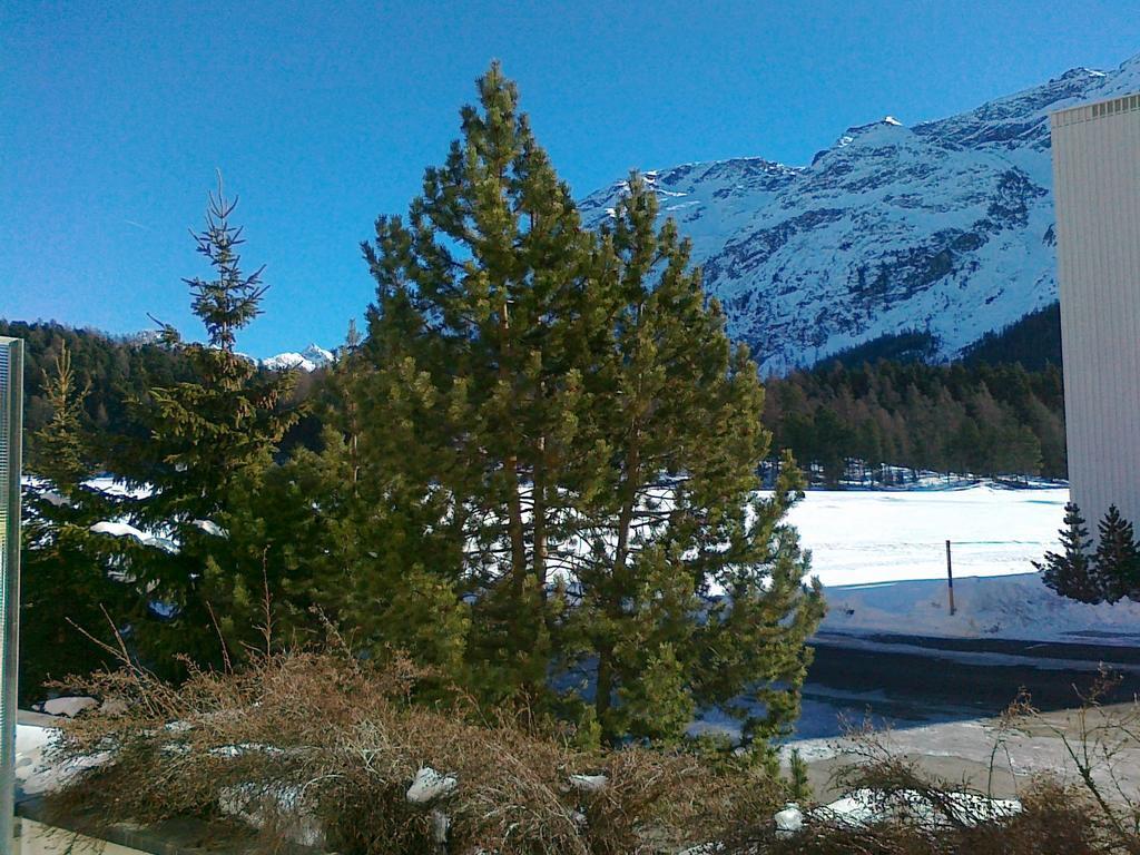 Studio Champfer Saint-Moritz Extérieur photo